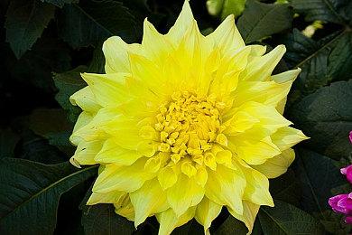 VR游戏《蝙蝠侠：阿卡姆之影》在北美获ESRB评级